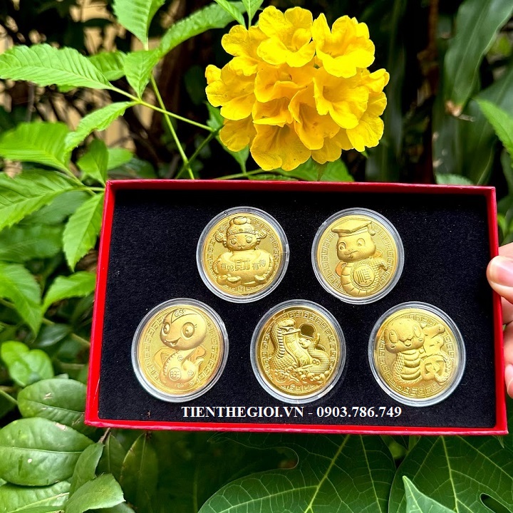 Hộp Quà Tặng 5 Đồng Xu Hình Con Rắn Mạ Vàng May Mắn